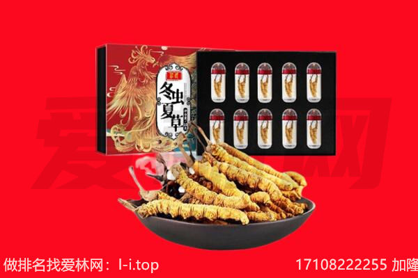 赤坎区回收虫草.jpg
